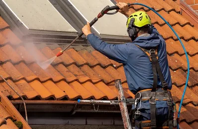 Démoussage et hydrofuge de toiture à Sainte-Colombe-des-Bois